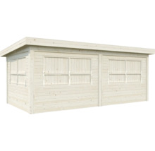 Abri de jardin en bois avec fenêtres