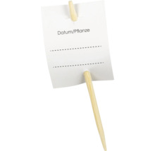 Étiquette de plante en bois avec champ d''inscription pour la date et le nom de la plante