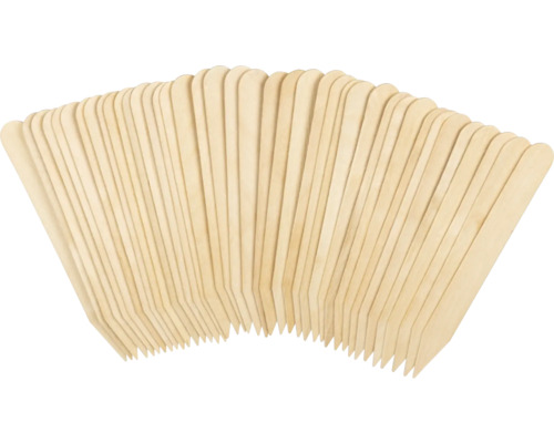 Étiquettes en bois FloraSelf 40 pièces Spatules en bois pour l''artisanat et le modélisme