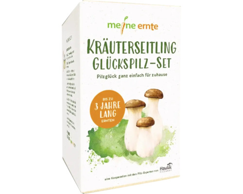 Kräuterseitling Glückspilz Set in einer Verpackung