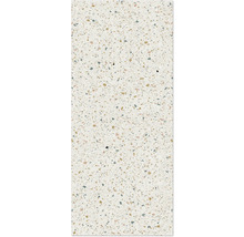 Terrazzo Platte mit verschiedenen Farbsprenkeln