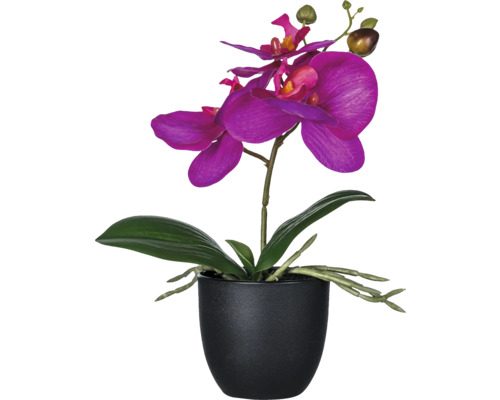 Orchidée artificielle avec pot comme décoration