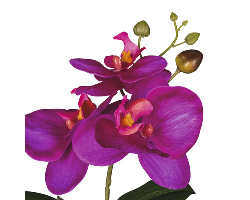 Orchidée artificielle avec fleurs et boutons