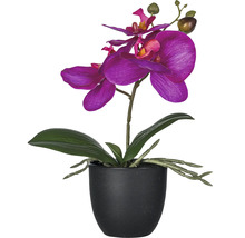 Künstliche lila Orchidee im schwarzen Topf