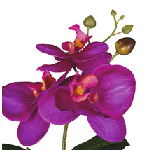 Künstliche Orchidee mit lila Blüten und grünen Knospen