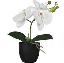 Künstliche weiße Orchidee im Topf