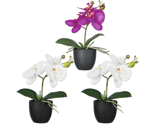 Plante artificielle Phalaenopsis h 23 cm lot de 3 1 x rose vif + 2 x blanc Trois orchidées en pot, deux blanches et une fleur artificielle violette