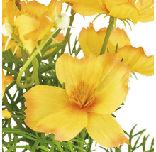 Künstliche gelbe Blumen mit grünen Blättern