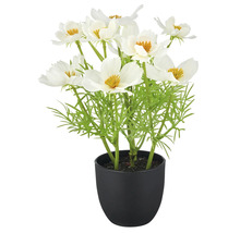 Kunstpflanze mit weißen Blüten im Topf