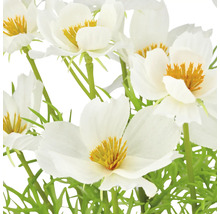Nahaufnahme von künstlichen weißen Blumen mit gelben Akzenten und grünen Stielen.