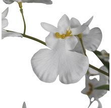 Kunstblume, weiße Blüten