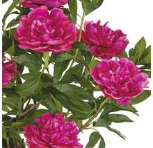 Dekorative Kunstblume mit rosa Blüten und grünen Blättern.