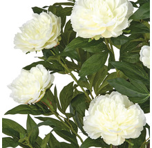 Kunstblumen mit weißen Blüten und grünen Blättern.