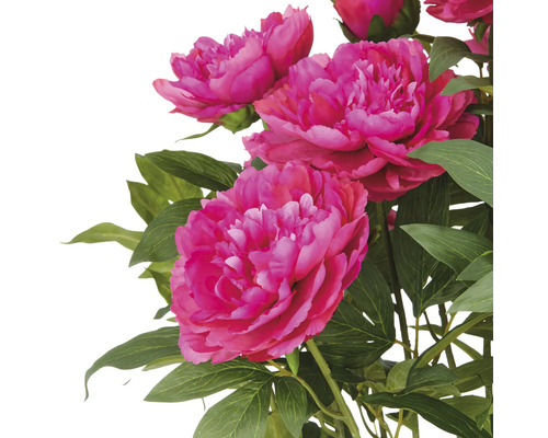 Künstliche Pfingstrosen mit grünen Blättern