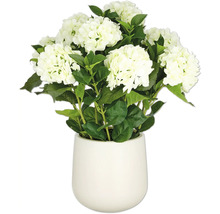 Hortensias blancs artificiels en pot comme décoration