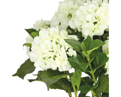 Hortensia artificielle avec feuilles
