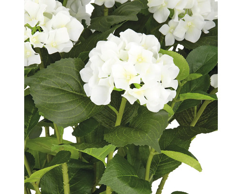 Künstliche Hortensienblüten mit grünen Blättern