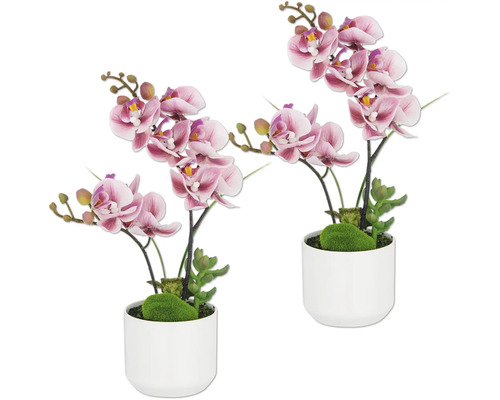 Zwei dekorative Orchideen in Töpfen