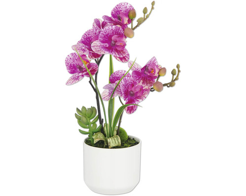 Orchidée artificielle avec succulente en pot