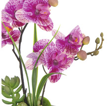 Orchidée artificielle avec des fleurs violettes et des feuilles vertes comme décoration intérieure