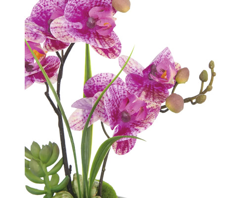 Orchidée artificielle avec des fleurs violettes et des feuilles vertes comme décoration intérieure