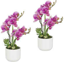 Deux orchidées artificielles avec des fleurs à pois dans des pots blancs