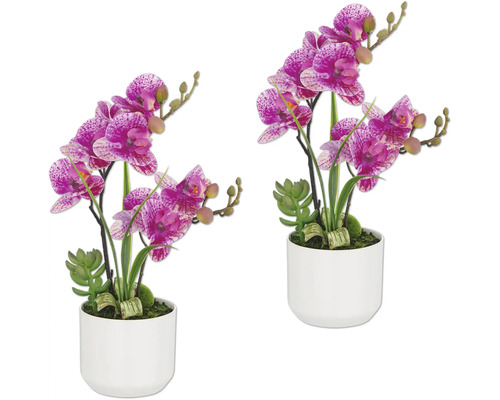 Deux orchidées artificielles avec des fleurs à pois dans des pots blancs