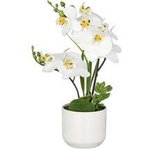 Künstliche weiße Orchidee mit Übertopf
