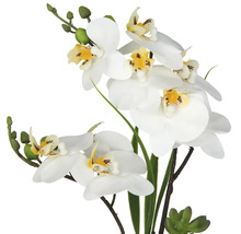 Künstliche Orchidee mit weißen Blüten