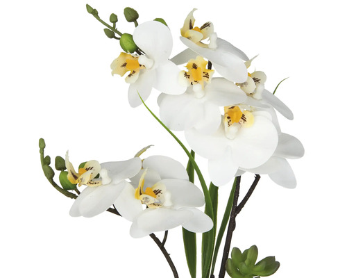 Künstliche Orchidee mit weißen Blüten