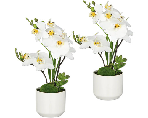 Zwei weisse Orchideen in Keramiktöpfen als dekoratives Element