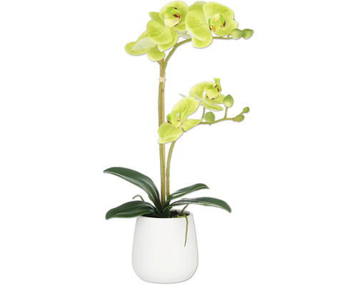 Kunstpflanze Phalaenopsis H 50 cm grün Künstliche Orchidee in weißem Topf