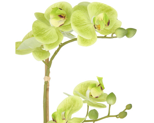 Künstliche Orchidee mit grünen Blüten und Knospen