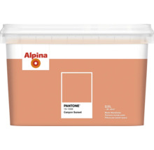 Peinture murale Alpina Canyon Sunset, 2,5 litres, peinture d'intérieur mate