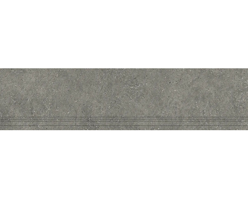 Feinsteinzeug Treppenstufe Alpen grau matt BxLxS 29,8 cm x 120 cm x 0,9 cm Graue Steintreppe mit rutschfesten Rillen