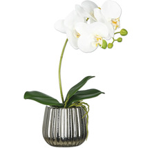 Orchidée artificielle dans un pot argenté
