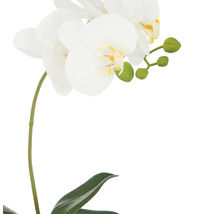 Orchidée blanche artificielle avec feuilles et boutons floraux