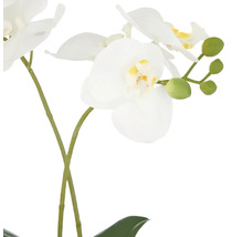 Künstliche Orchidee mit weißen Blüten