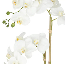 Künstliche Orchidee mit weißen Blüten