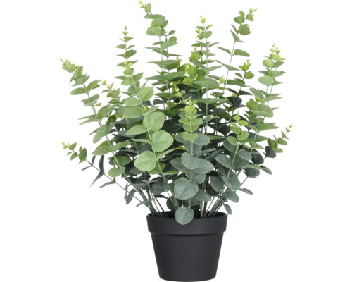 Plante artificielle eucalyptus gunnii h 60 cm Plante d''eucalyptus dans un pot noir
