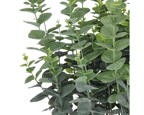 Plante artificielle d''eucalyptus avec des feuilles vertes