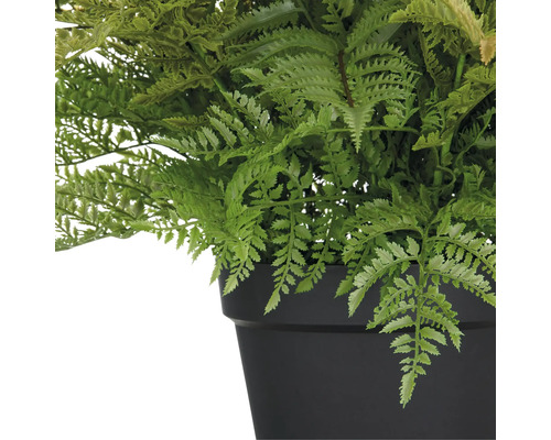 Kunstpflanze Farn in schwarzem Topf
