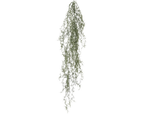 Kunstpflanze Tillandsia-Hänger L 120 cm graugrün Hängende Tillandsie als Dekoration für Innenräume