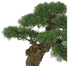 Künstlicher Bonsai Baum