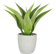 Künstliche Aloe Vera Pflanze im Topf