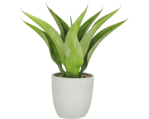 Künstliche Aloe Vera Pflanze im Topf