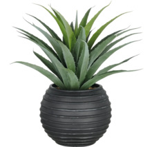 Künstliche Agave in einem Topf