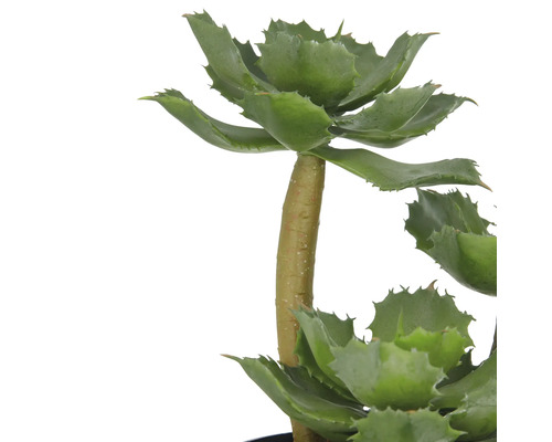 Künstliche Agave für die Innendekoration