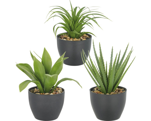 Drei künstliche Topfpflanzen mit unterschiedlichen Blattformen in schwarzen Töpfen