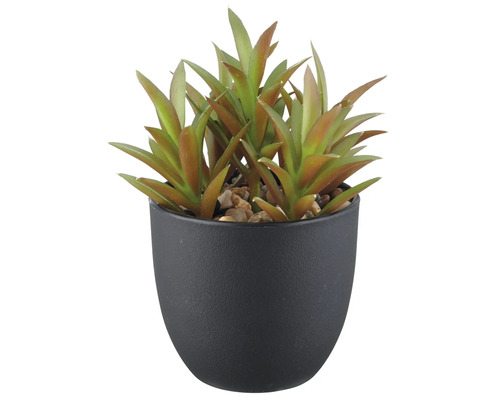 Plante grasse artificielle en pot noir
